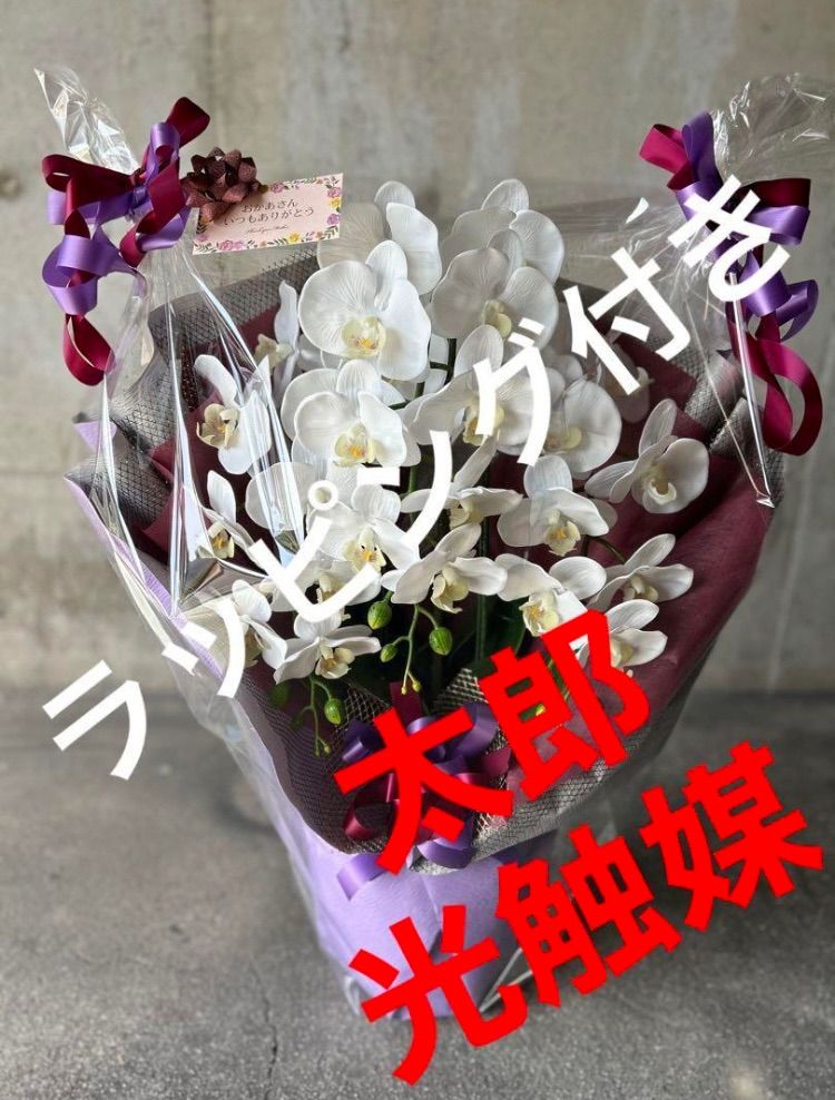 光触媒 人工観葉植物 ウォールグリーン フェイクグリーン リアル胡蝶蘭