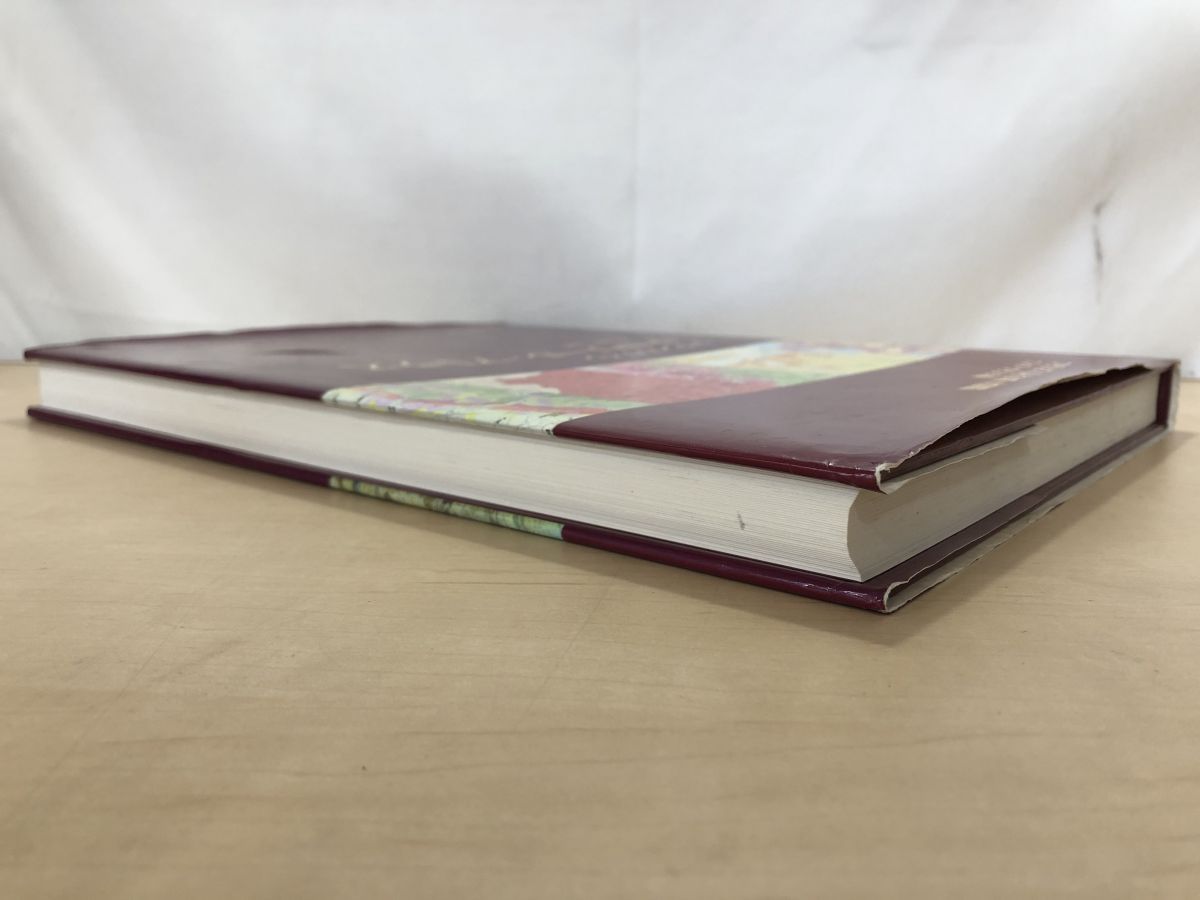 フランスワイン テロワール アトラス ブノワ フランス編 飯山敏道 監修 フランス ぶどう畑 大図鑑