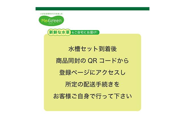 小さな生態系づくりを楽しむ
