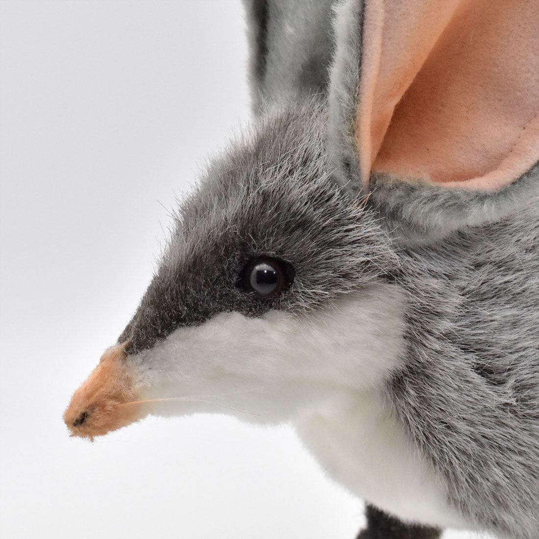 HANSA 7445 ビルビー 30cm BILBY オーストラリア固有種 BH7445