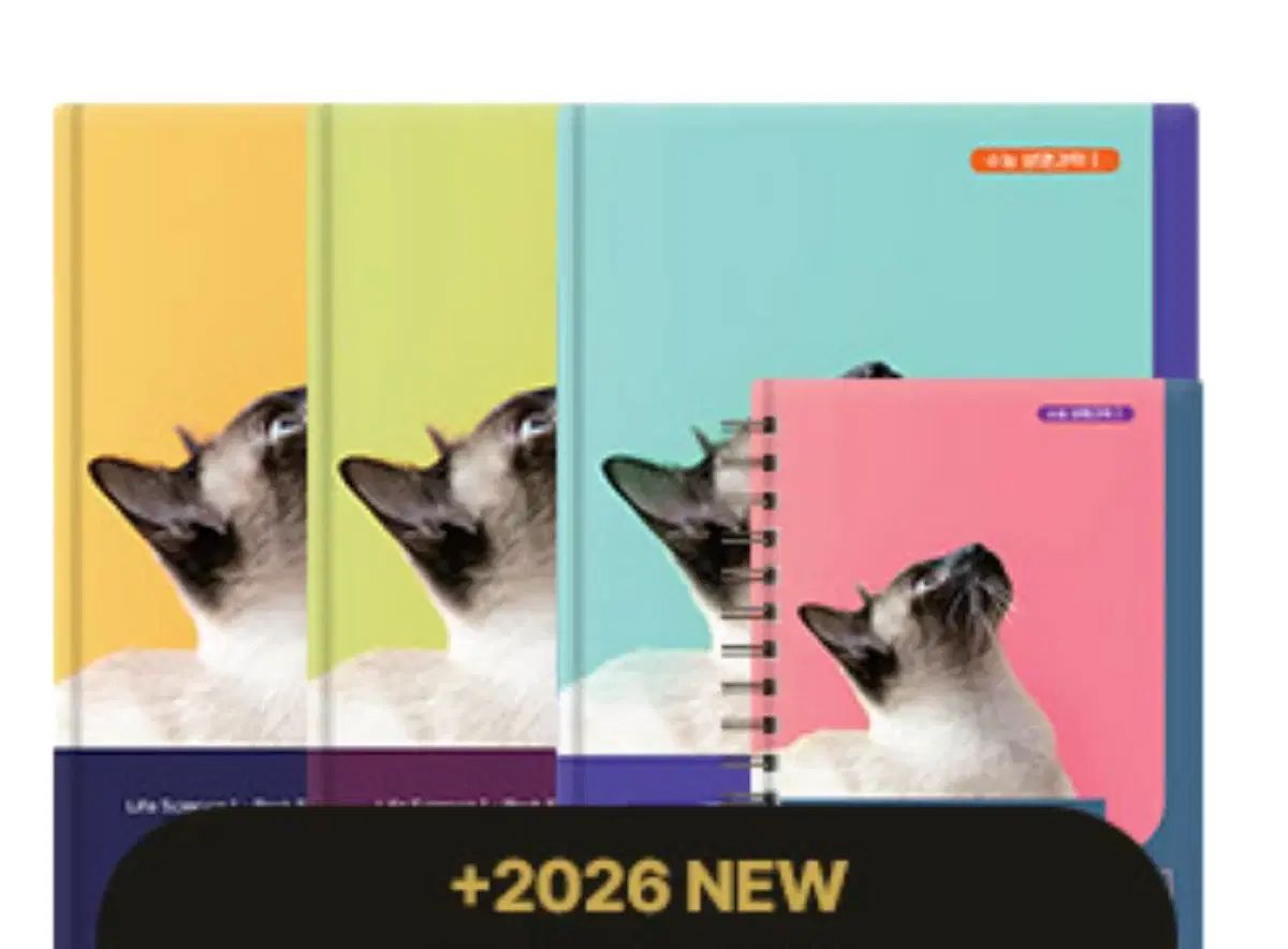 SHIMANO 20 nium HG ベイトリール オンライン 使用回数20回程度 シマノ