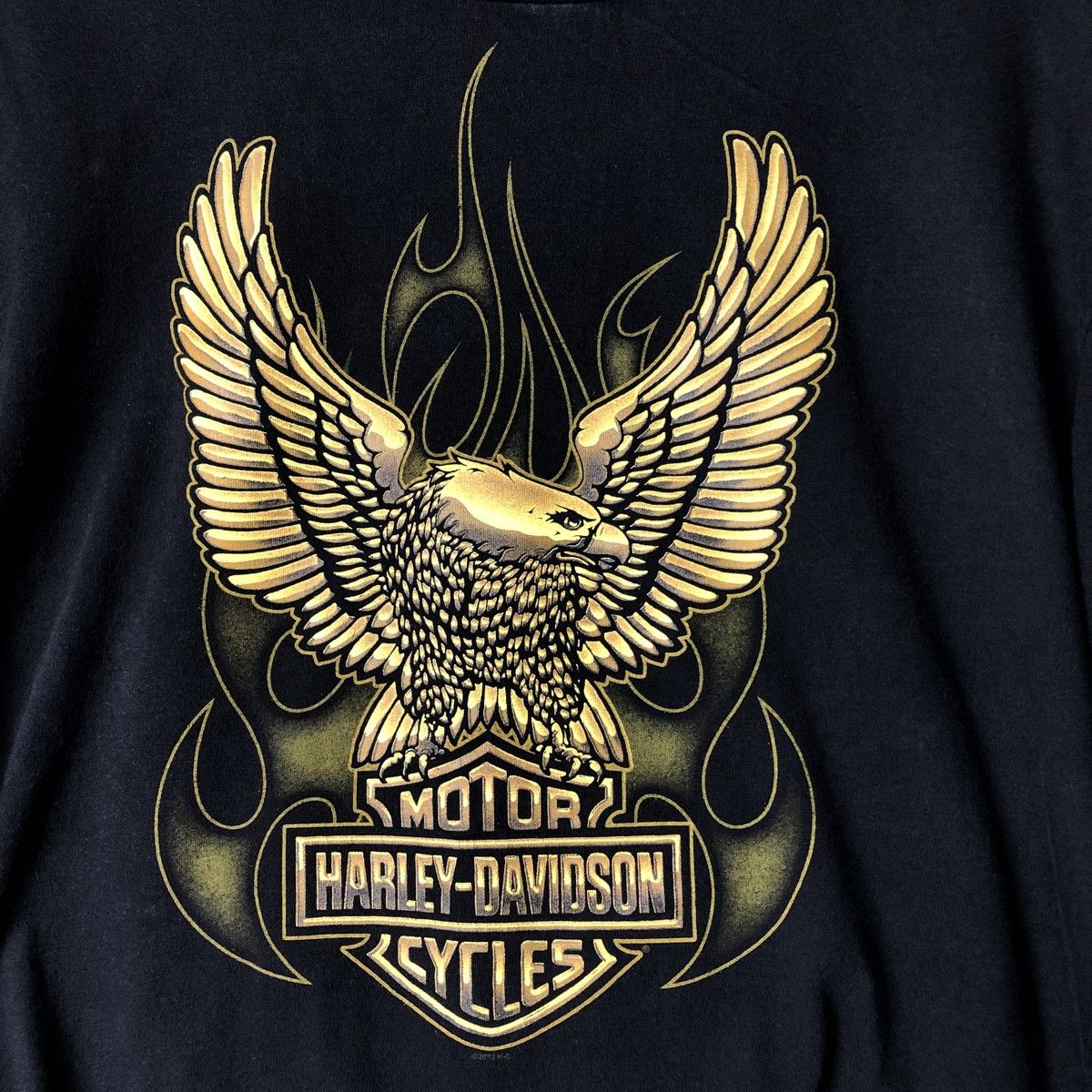 HARLEY DAVIDSON イーグル 鷹 ファイヤーパターン ロングTシャツ