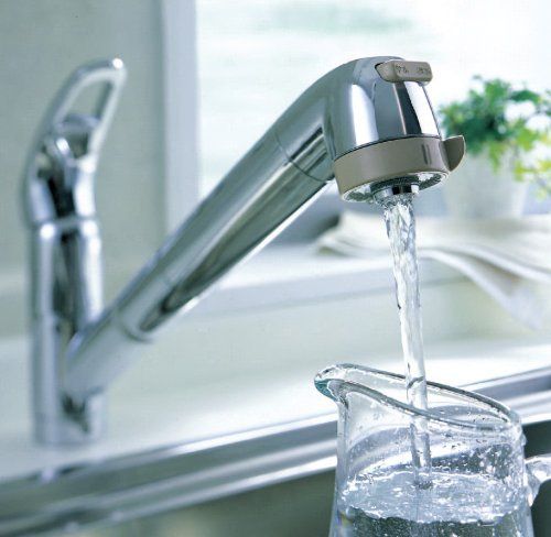 三栄 水栓金具 K87680TJV シングル浄水器付ワンホールスプレー混合栓