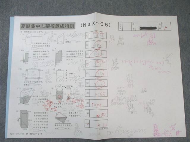 SAPIX サピックス 夏期集中志望校錬成特訓(NaX-01～05) 算数