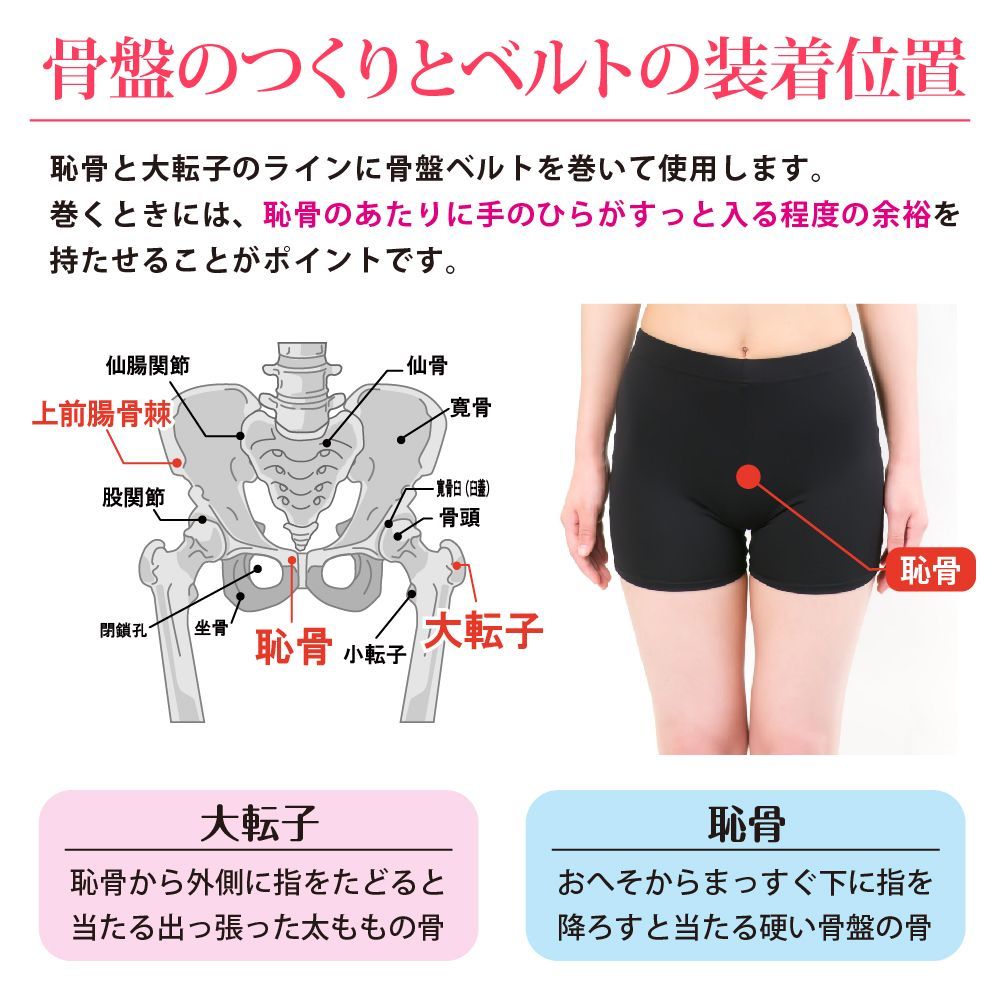 日本メドック フェレナ骨盤ベルト ショップ 日本メドック フェレナ骨盤