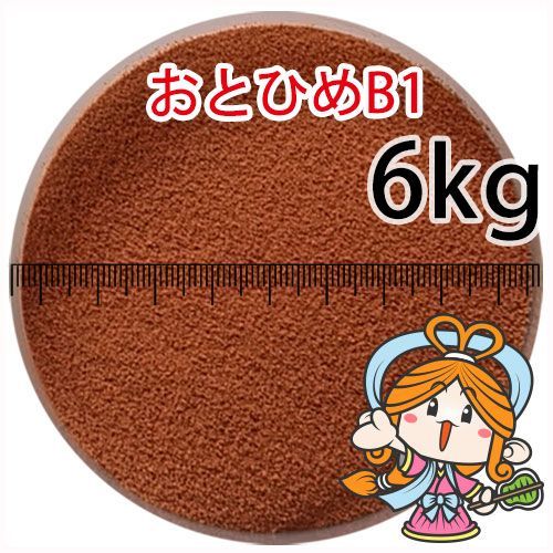 沈降性 沈下性 日清丸紅飼料おとひめB1 0.2~0.36mm 6kg小分け品 宅配便 全国発送一律 金魚小屋-希-福岡 3日