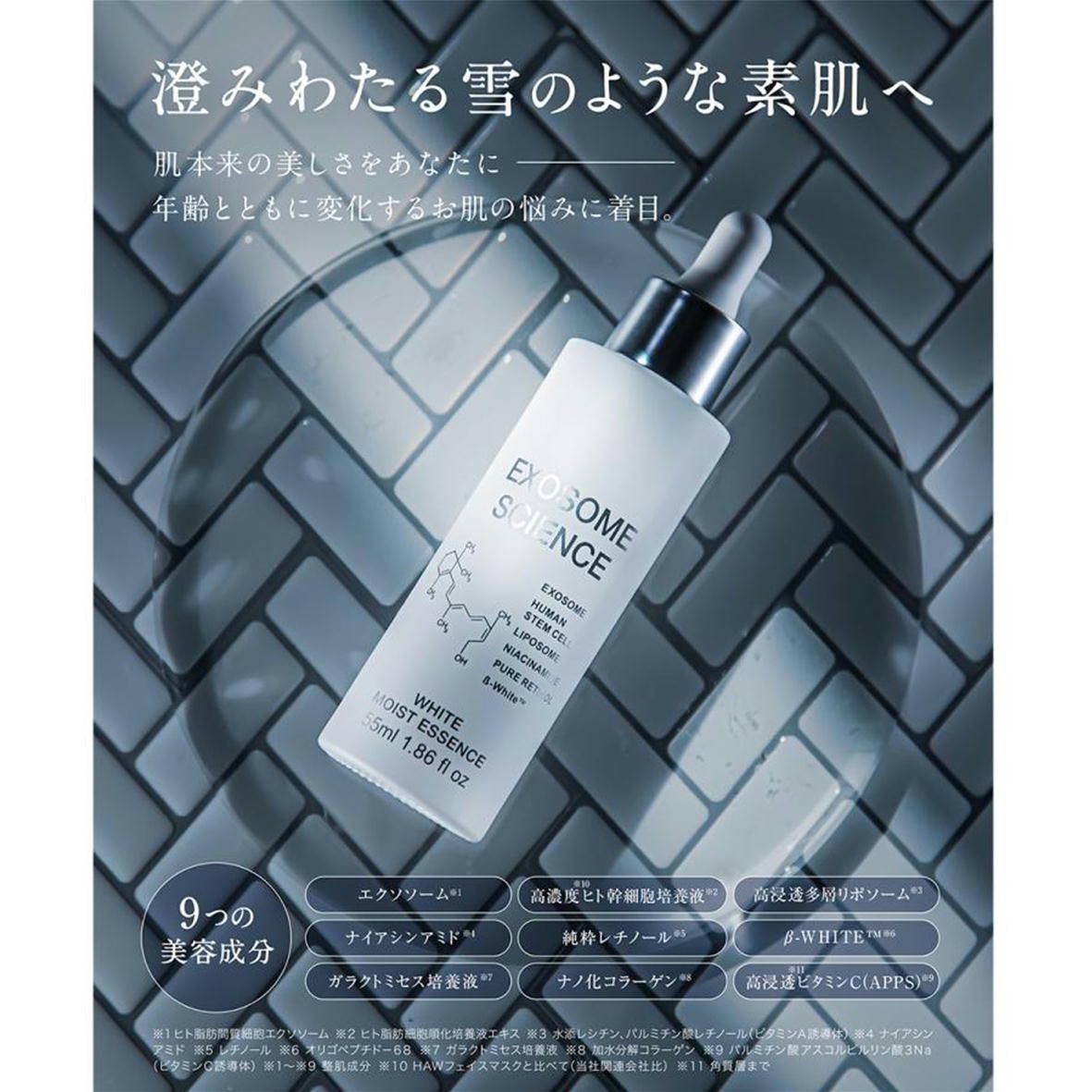 cellcode_cc005-2