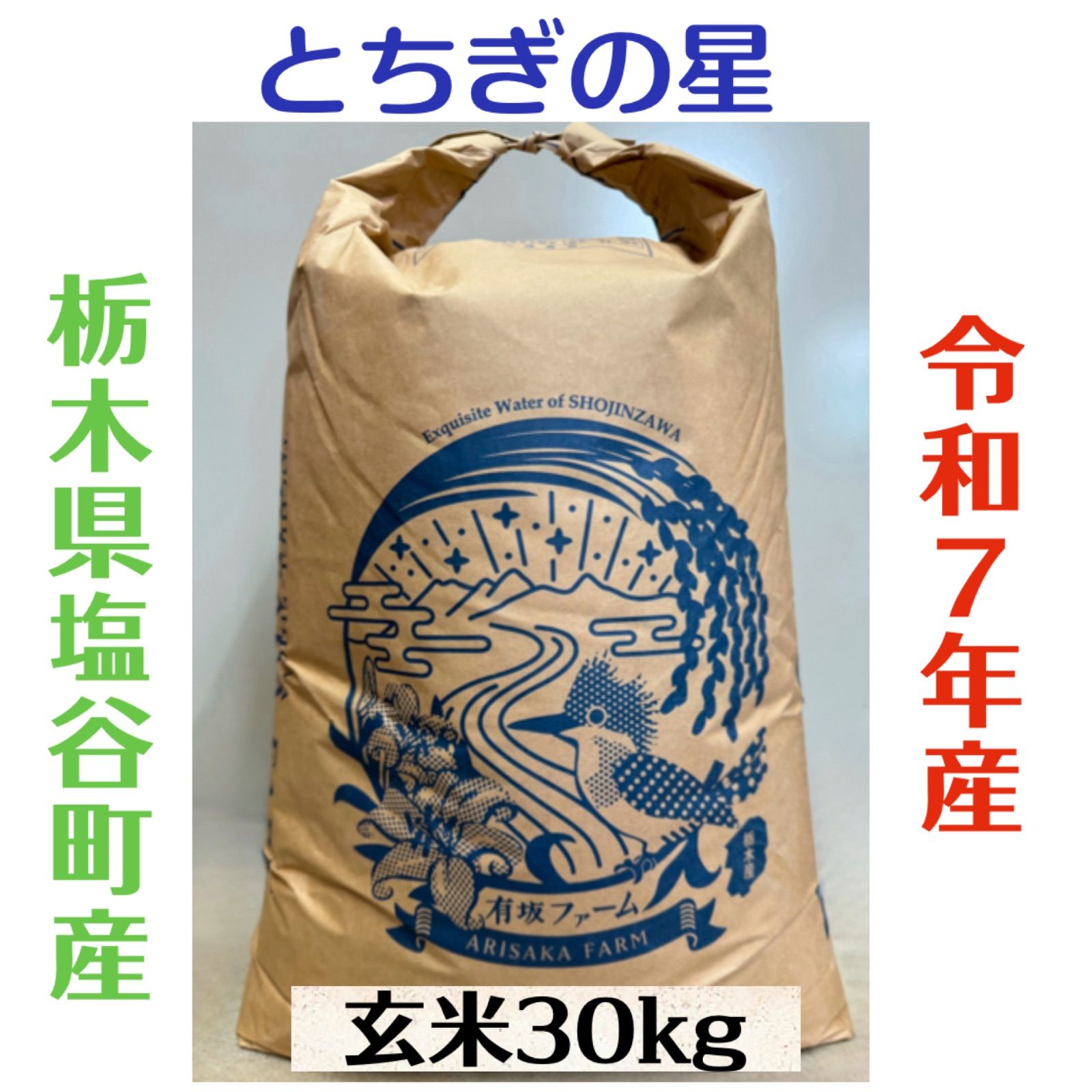 とちぎの星 新米 30kg 送料無料 お米 30kg 米 とちぎの星 令和7年 栃木県産 業務用米 まとめ買い