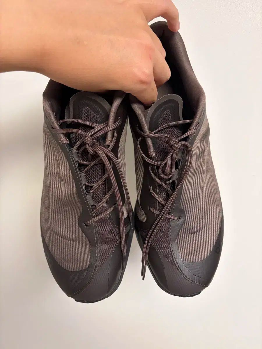 ション クラウドベンチ