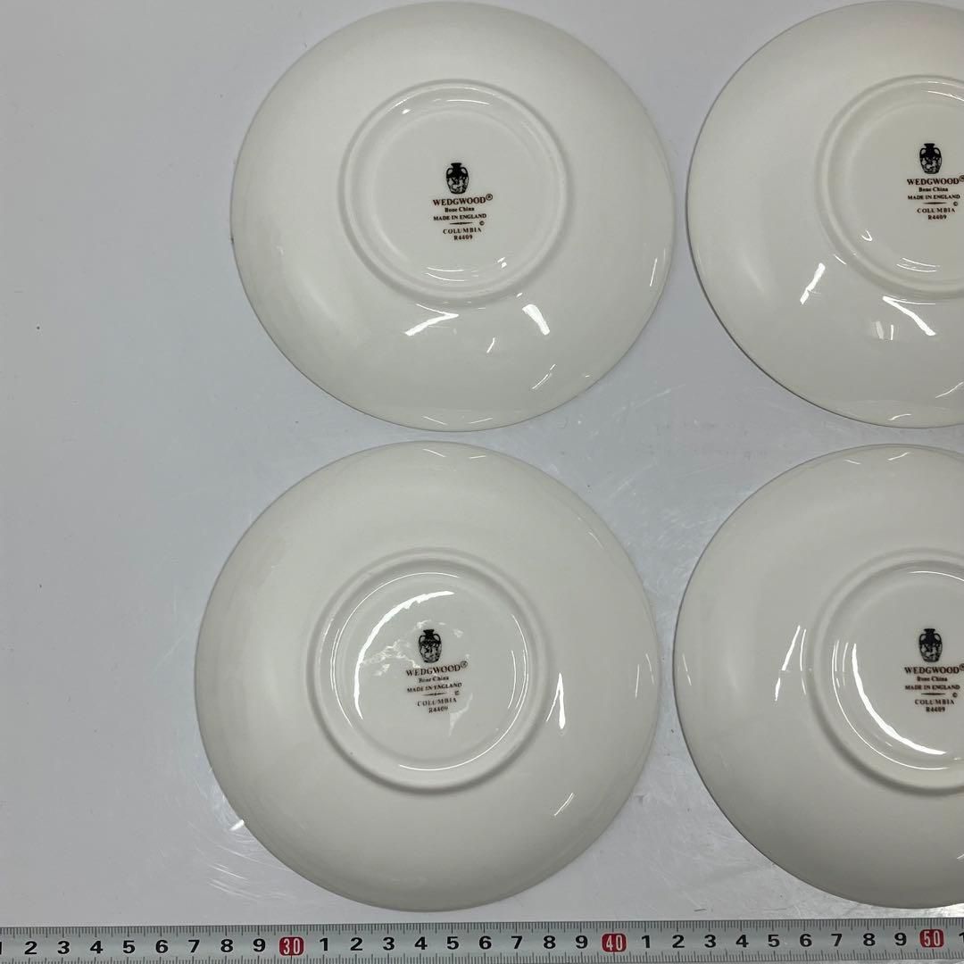 コロンビアセージグリーン