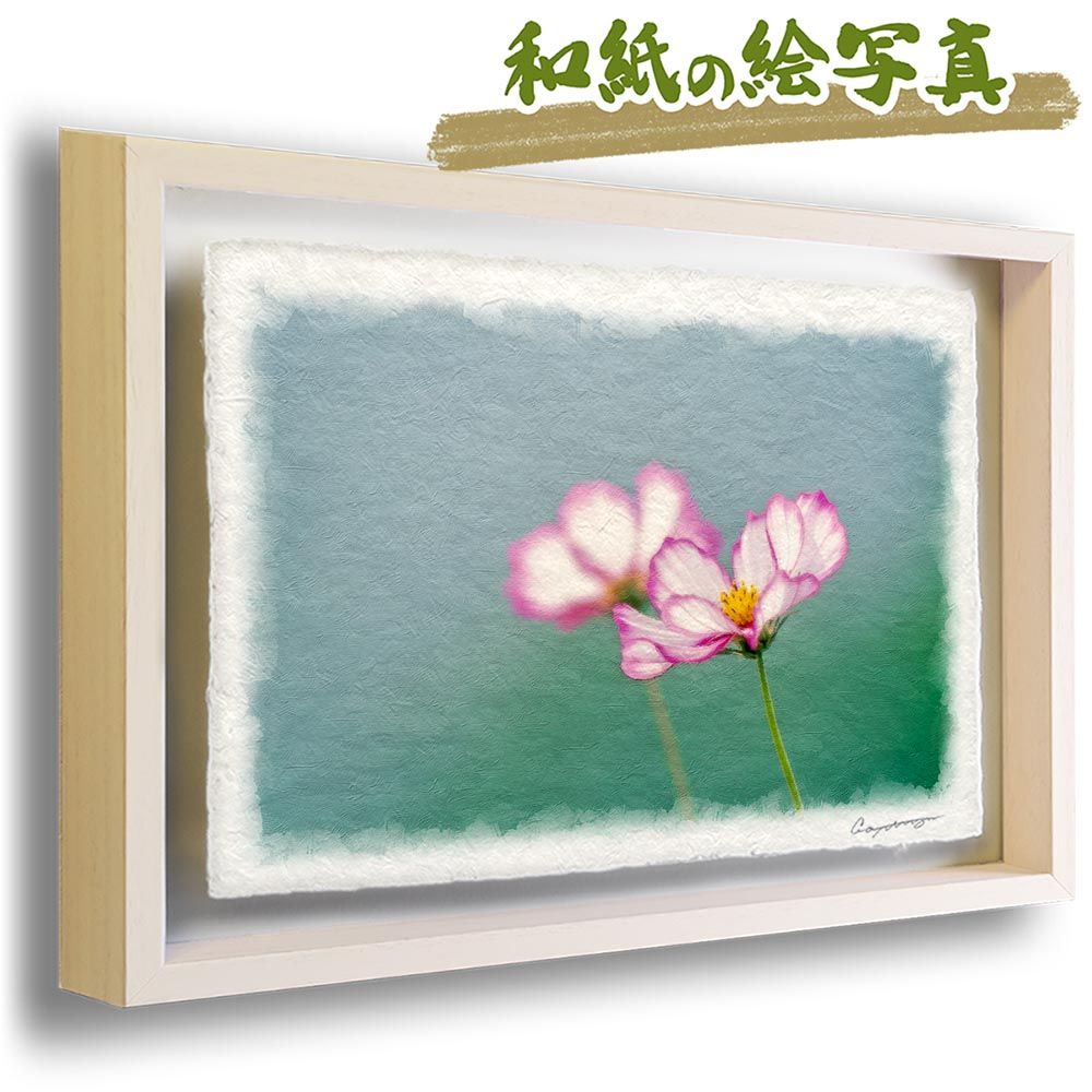 アート・写真 【額装日本画】秋桜 和風インテリア 額入り