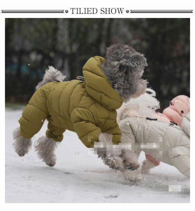 つなぎ フード付き