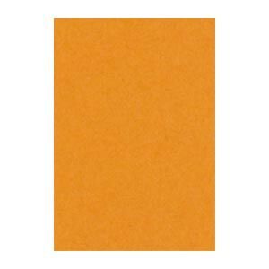 リンテック ニュー Ｒ 8 NCR 210 おうどいろ