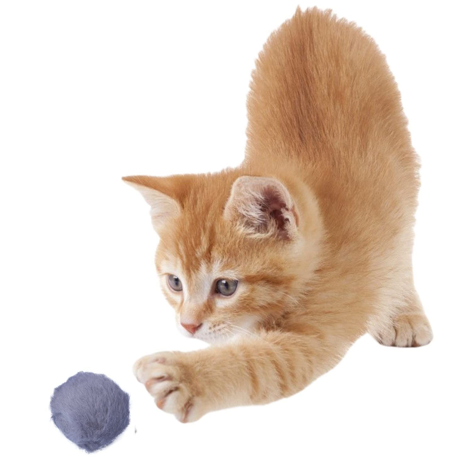 - SUPPLIES FUN 猫用おもちゃ PET キャットトーイ ベビーファーボール PLATZ キャニスター 60個