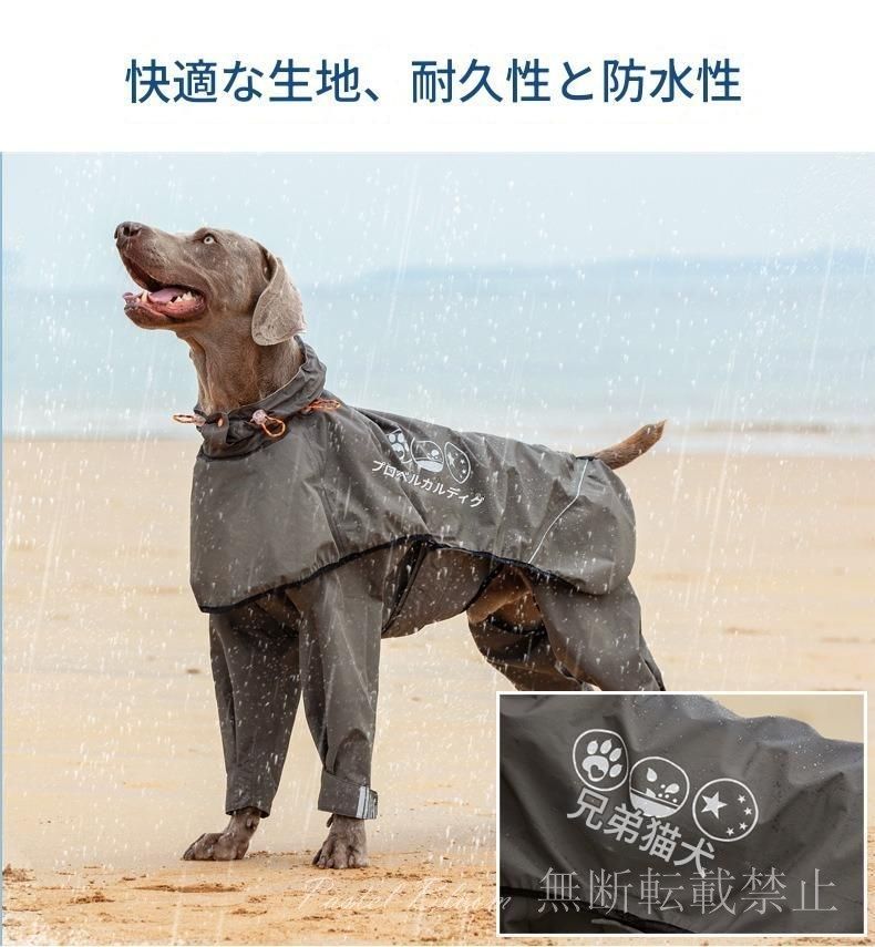 大型犬