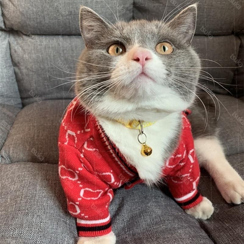 ニット ペット服
