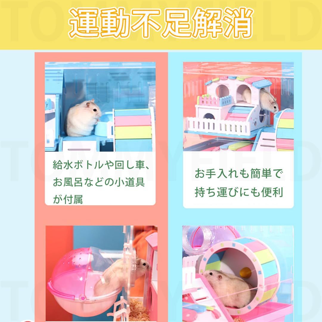 ゴールデンハムスター 青H