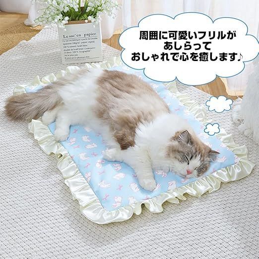 【在庫処分】ペット クッション ベッド フリル 可愛い 防水 毛付きにくい お手入れ簡単 滑らか 掃除しやすい 耐久性 カバー取り外し可能 洗える 滑り止め ふわふわ 寝床 猫 犬 室内用 通年 ペット | フリルベッドの通販 Zeusomペット用プリンセススタイルベッド フリルデザイン 在庫処分ペット