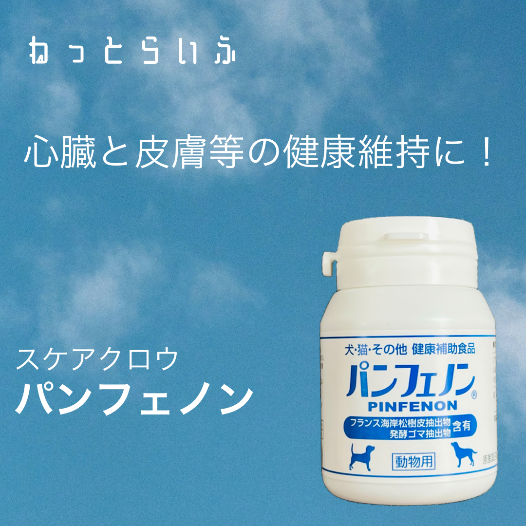 パンフェノン　１２０粒入／３個