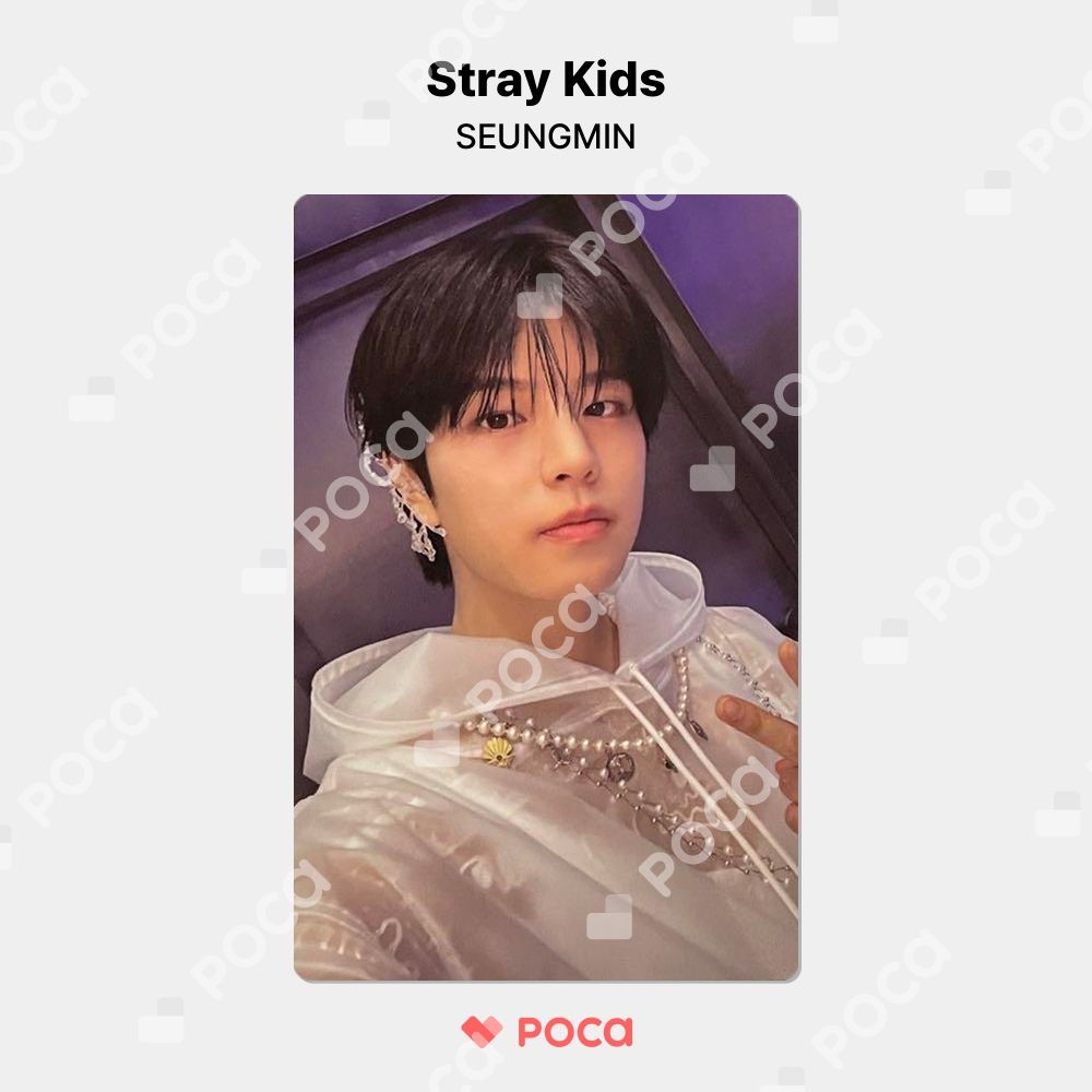 straykids スンミン スキズ トレカ ATE Ver. 公式 トレカ - メルカリ