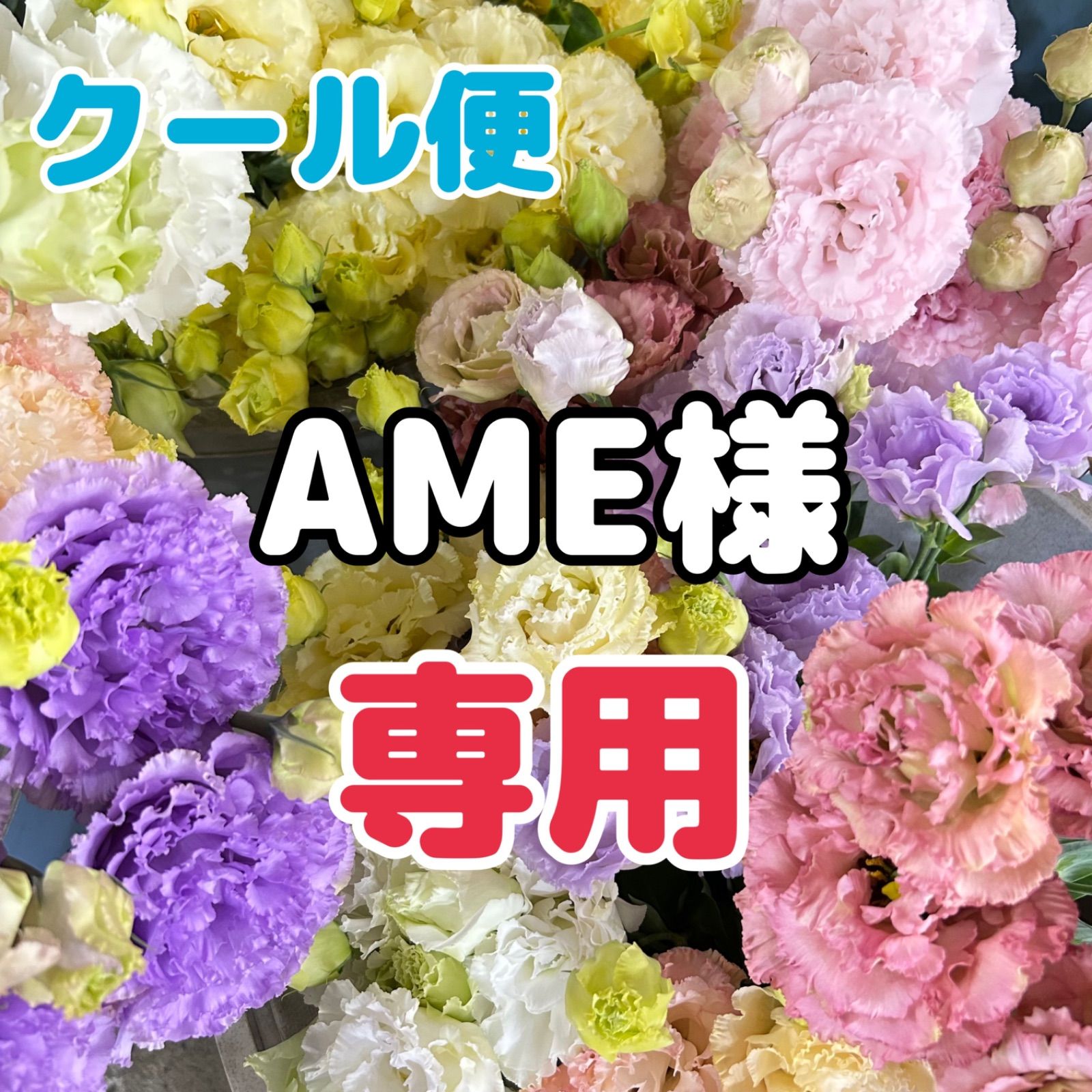 AME様 専用】クール便 - メルカリ