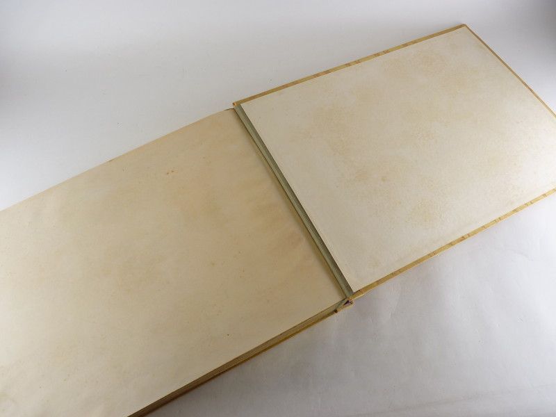 約49cm×約34.5cm×約5.5cm