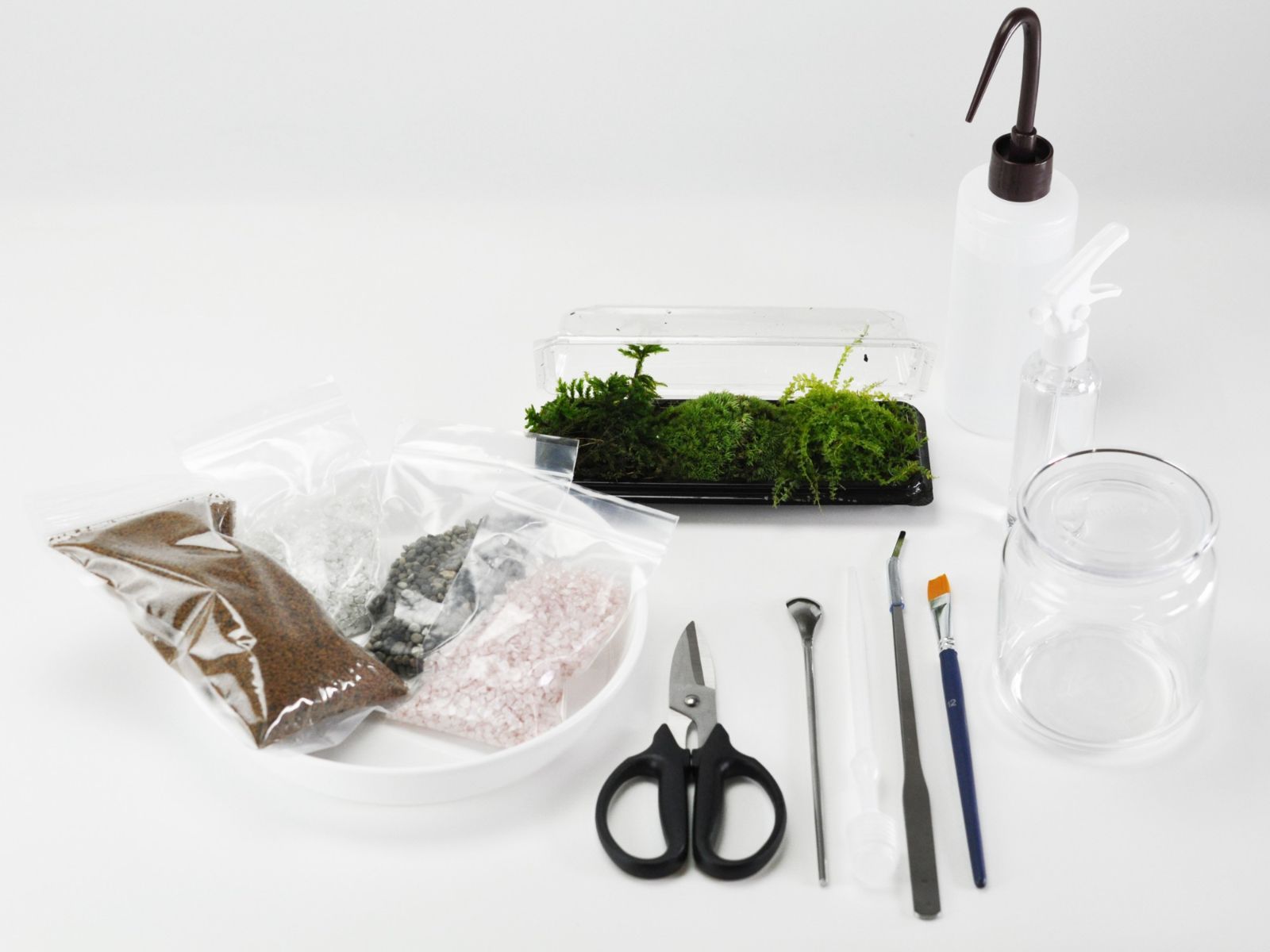 初めての苔テラリウムキット 15点セット