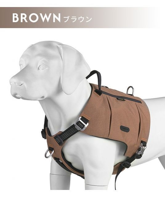 大型犬 おしゃれ