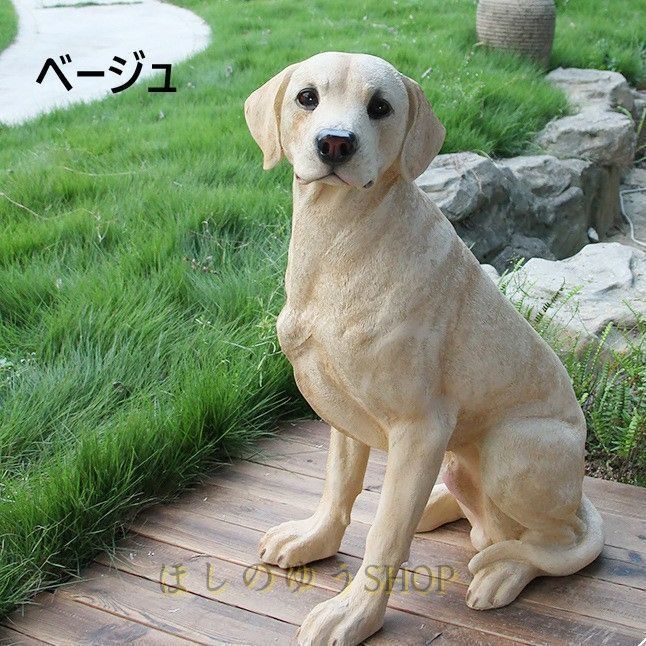 大型 リアル