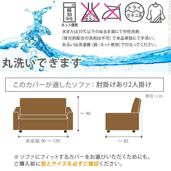 〔カロリーナ〕