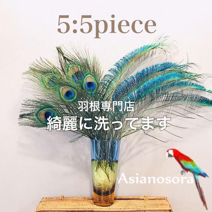 ネコポス❤️◾️⭐︎【クジャク 5:5】孔雀 羽根 剣 目玉 パーツ 鳥の
