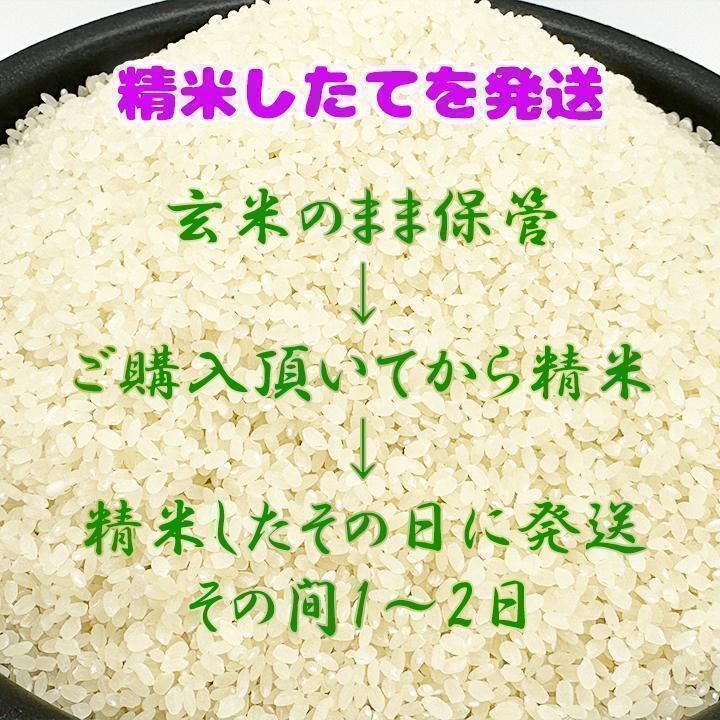 令和5年新米 あきたこまち 2キロ 2kg 秋田県産 米 お米 2023年 2.0kg