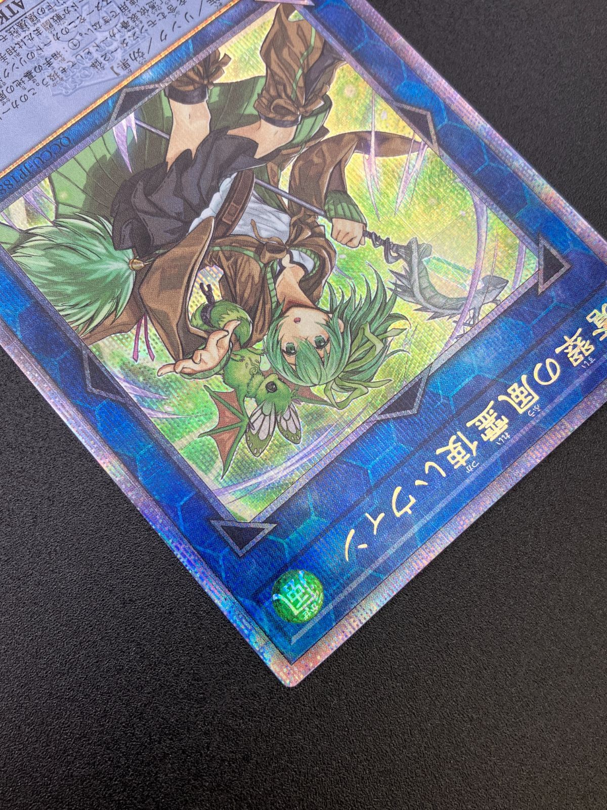 ☆☆ 遊戯王 トレカ 蒼翠の風霊使いウィン QCCU-JP188 QCシークレット Amazon.co.jp: 遊戯王カード QCCU-JP188 蒼翠の風霊使いウィン