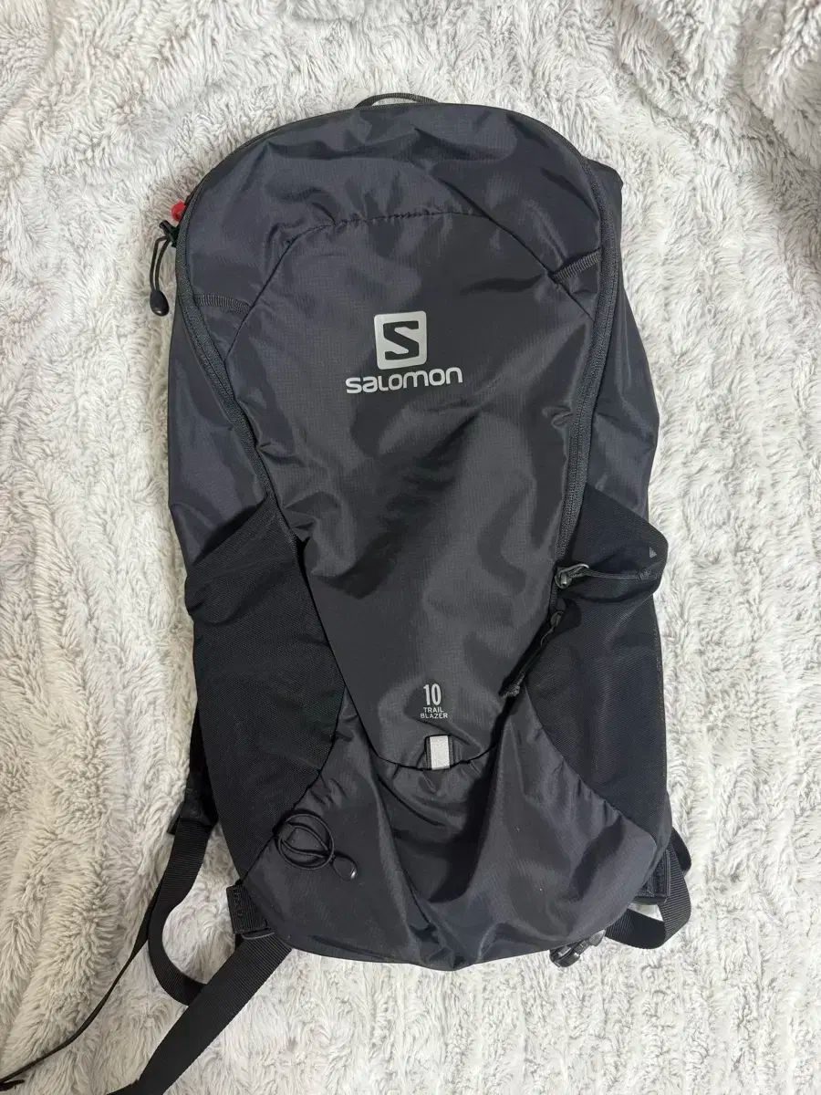 Salomon サロモン トレイルブレイザー バックパック バッグ 10L 旧モデル ロゴ salomon