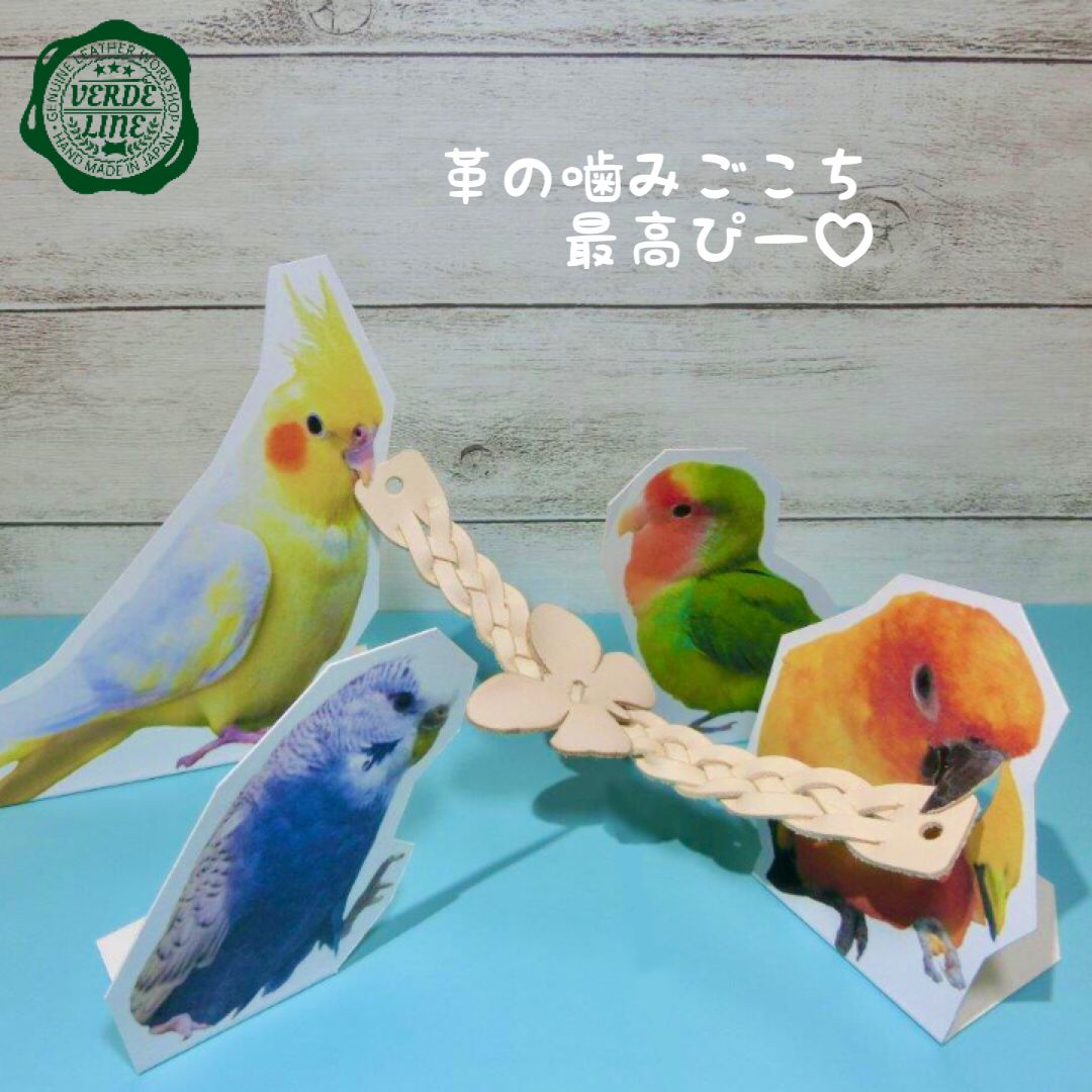 インコちゃんのカミカミおもちゃ☆ - おもちゃ