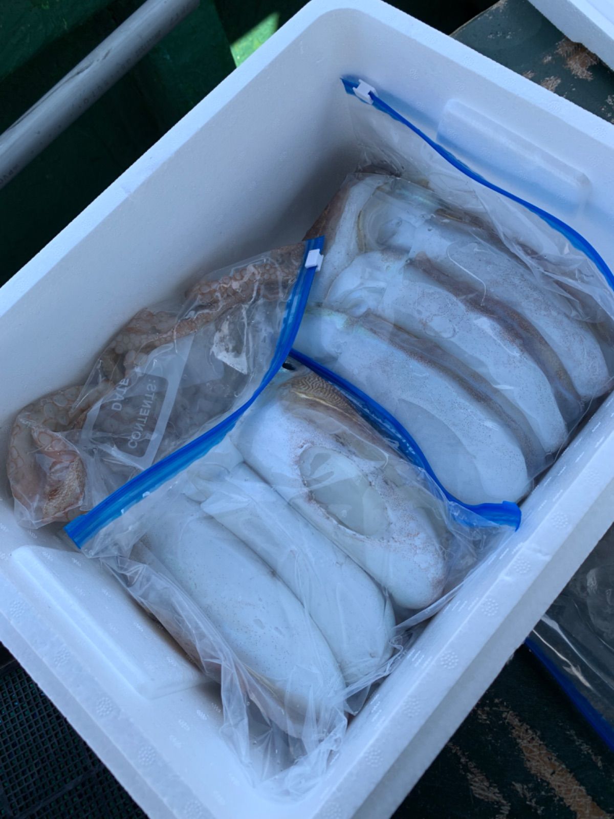 【再販】愛媛 今治産 イカ  烏賊  詰め合わせ  鮮魚 3キロ前後 再販🌼】愛媛 今治産 イカ 烏賊 詰め合わせ 鮮魚 3キロ前後の