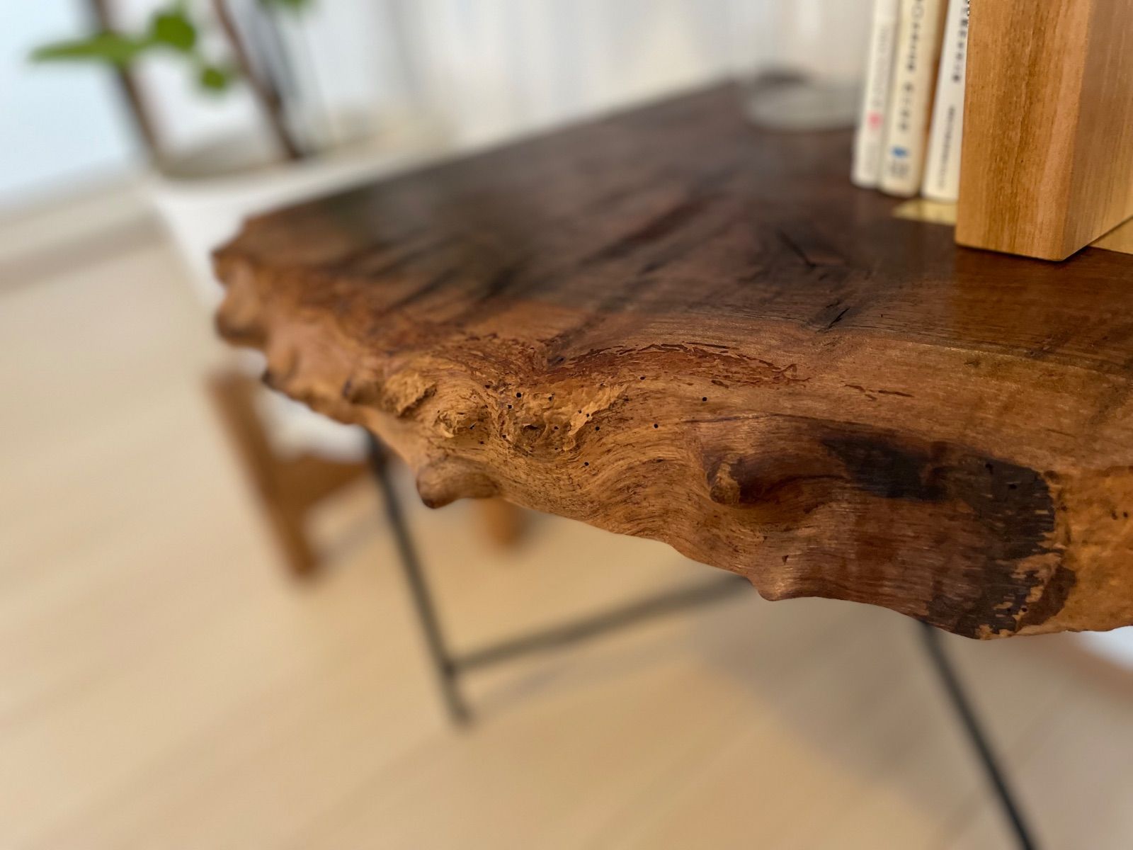 レジンサイドテーブルクラロウォールナット瘤希少材 クロラ