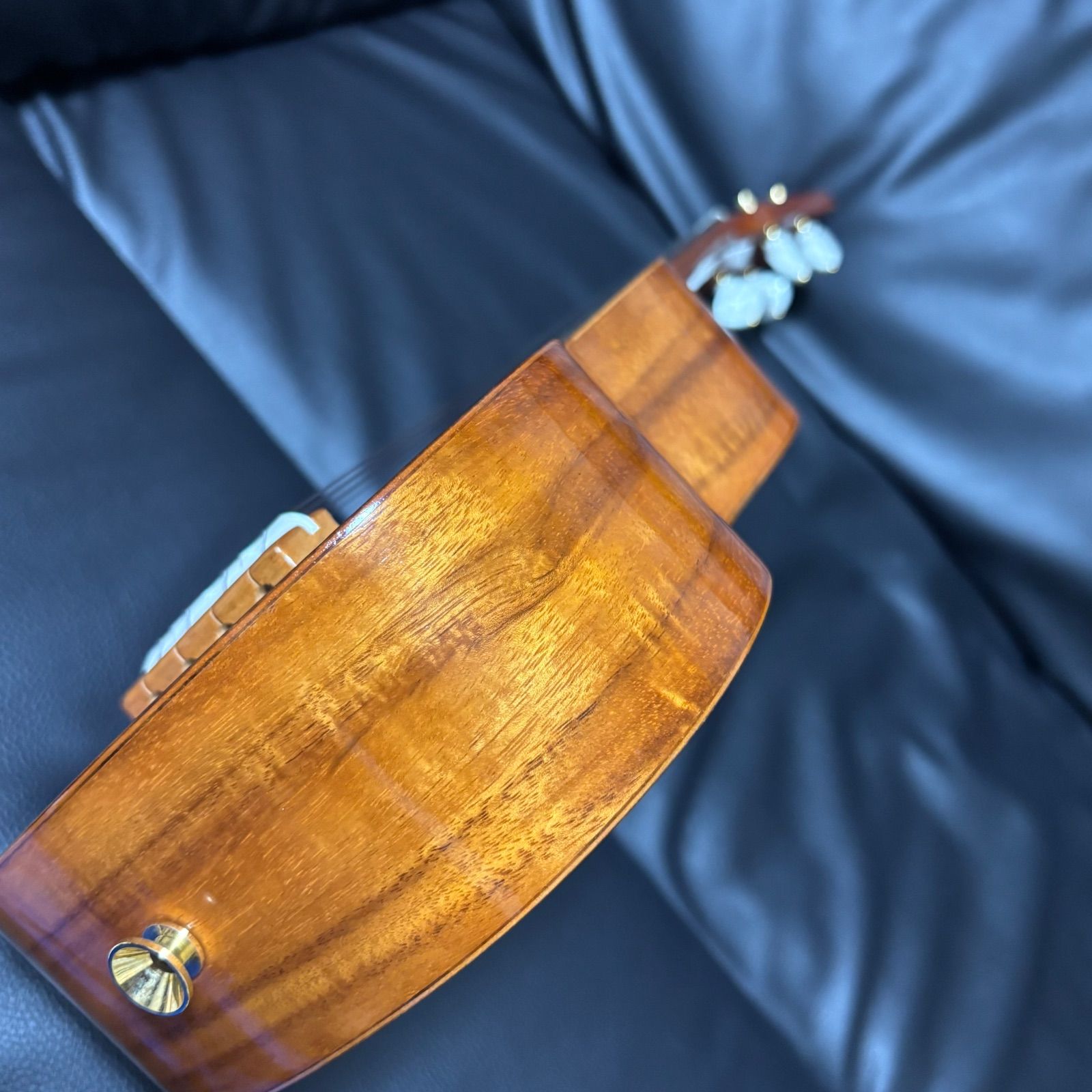 ハードケース付き