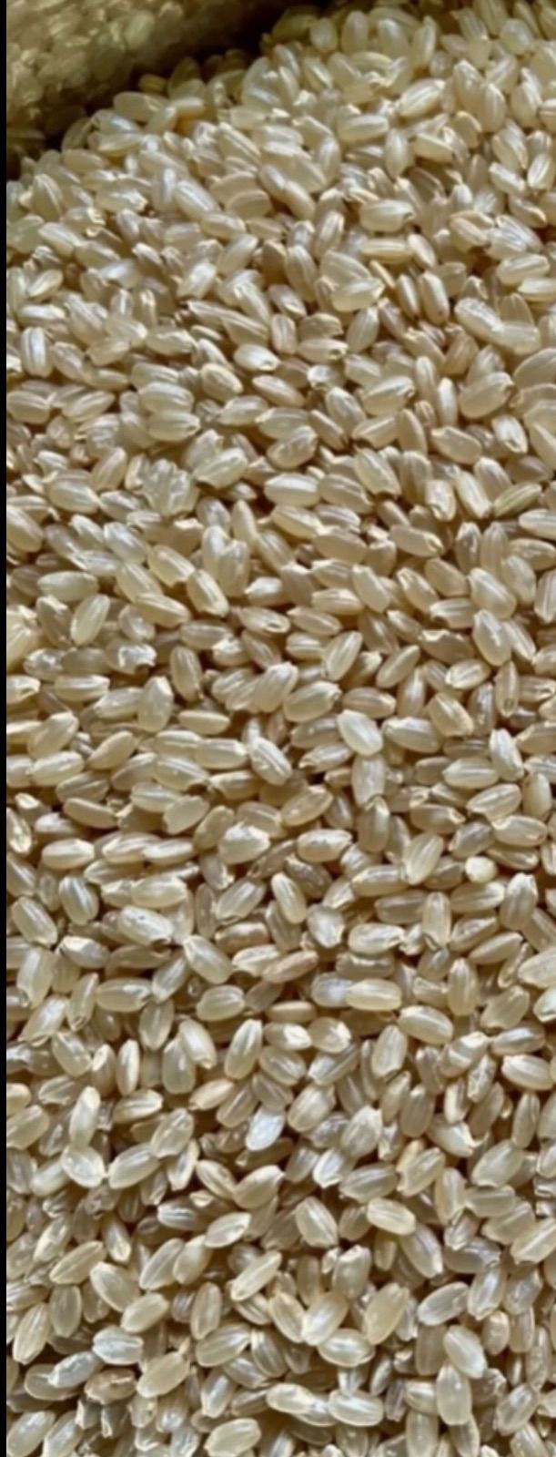 新米！大分県産なつほのか玄米28kg 令和7年産 - メルカリ