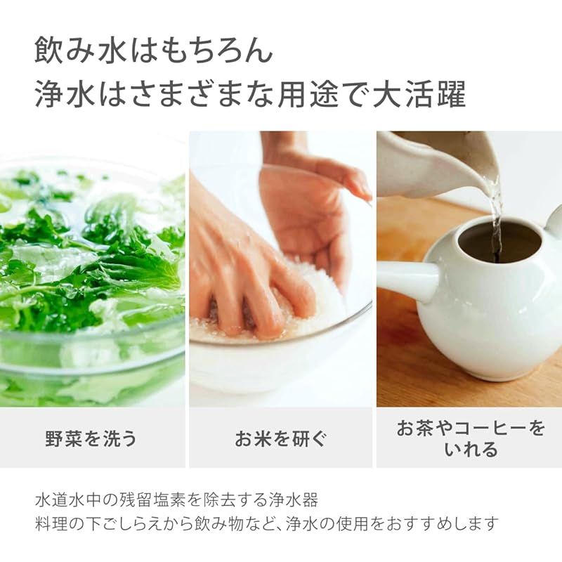 蛇口直結型浄水器 PFOS