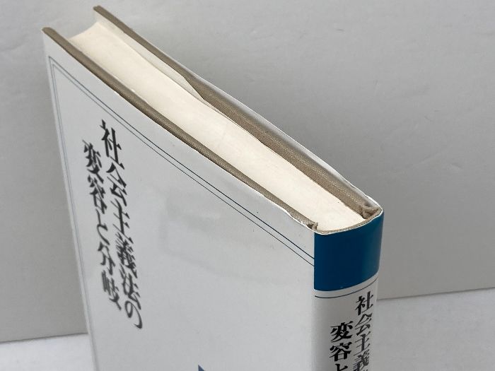 社会主義法の変容と分岐 (社会主義法研究年報 No. 11) 法律文化