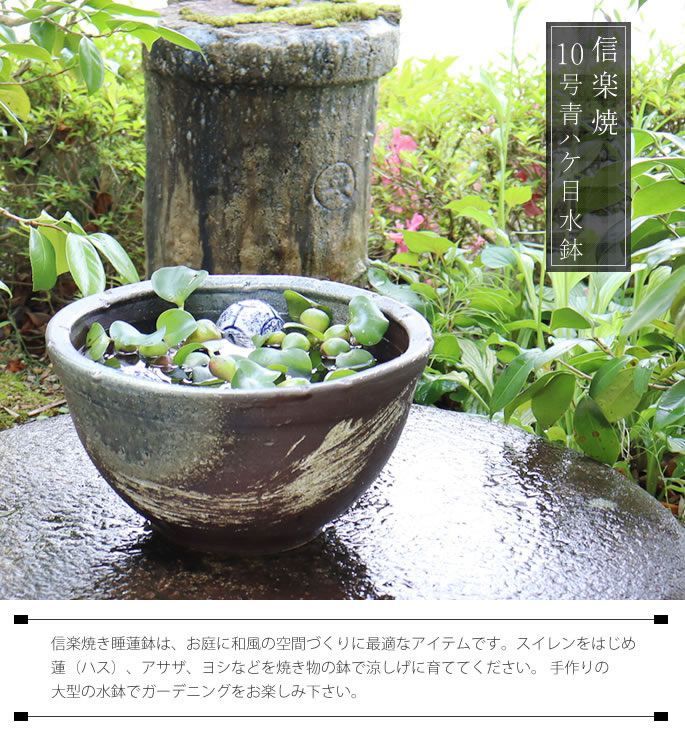 信楽焼 手作りめだか鉢 水連鉢 ビオトープ 直径55㌢ 信楽焼手作り