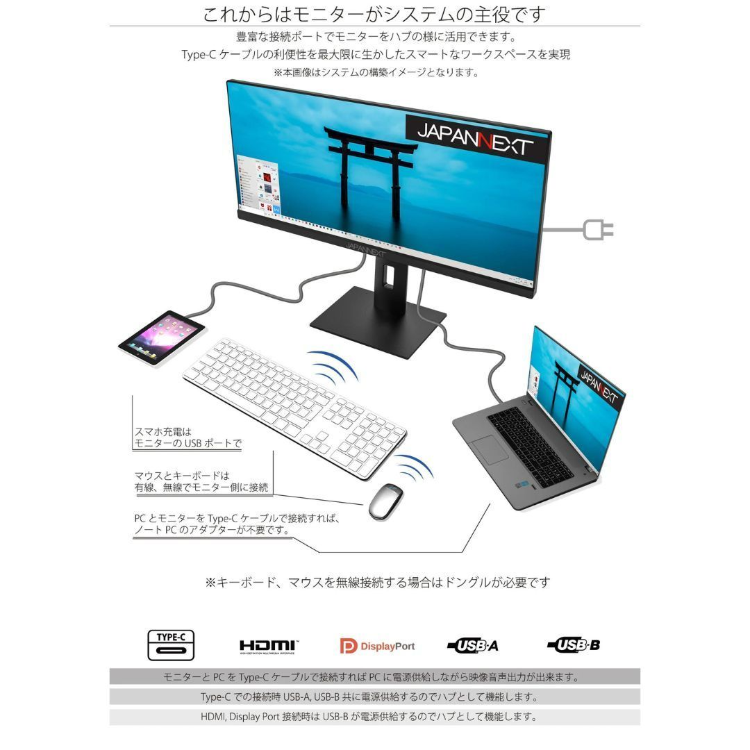 JN-IPS29WFHDR-C65W - ディスプレイ・モニター本体