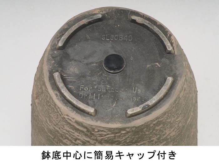 10号鉢適合