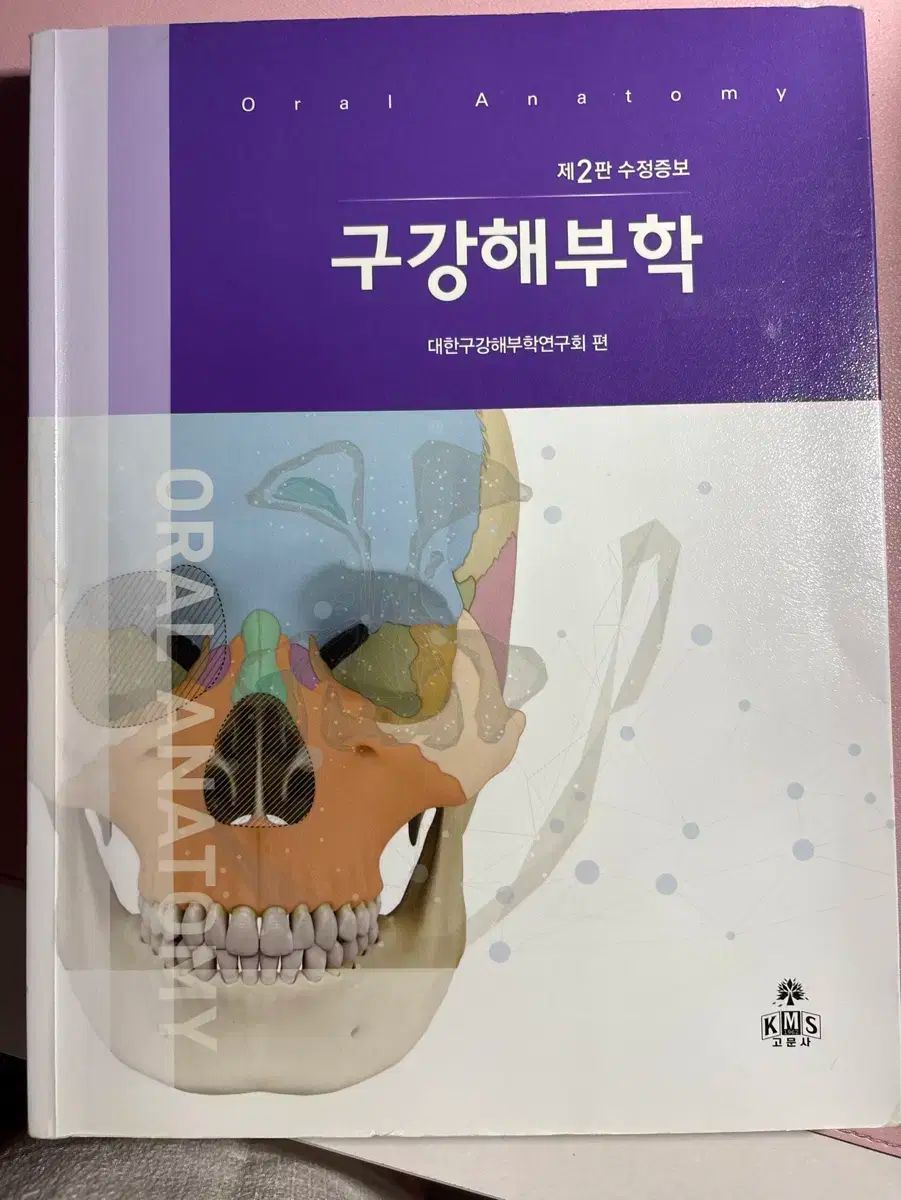 口腔解剖学 出品 - メルカリ