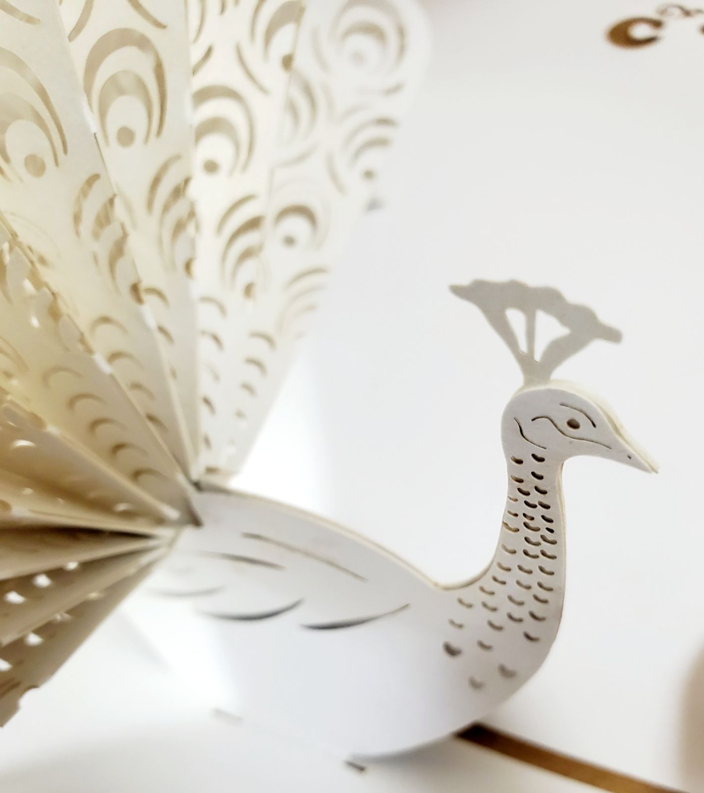 立体カード 飛び出す 孔雀（白） ポップアップグリーティングカード
