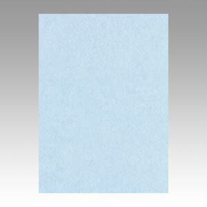 （まとめ） 色画用紙 文運堂 ニューカラーＲ ラベンダー 4NCR-131 4954022641313 1冊【×5セット】 10,374円