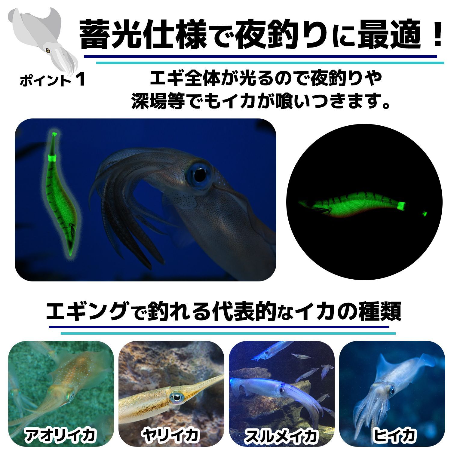 エギ エギング 10本セット 2.5号 釣り具 ケース付 餌木 ルアー イカ釣り アオリイカ コウイカ ヤリイカ タコ 送料無料 仕掛け おすすめ  最強 初心者 収納 大容量 最新 蓄光 遠投 人気 布 夜 グリーン ブルー ピンク オレンジ 720円