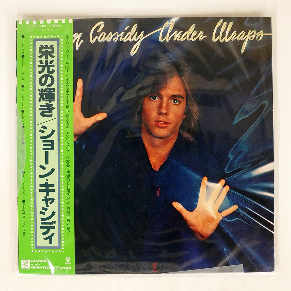 2025-25 秋冬新作  ハイブランドの 帯付き SHAUN CASSIDY/UNDER WRAPS/WARNER BROS. P10553W LP 絵画