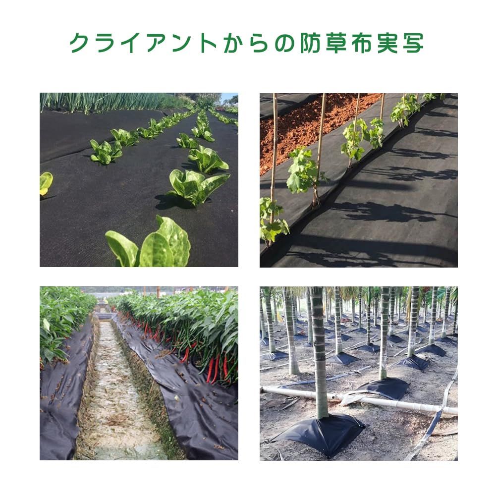 通路